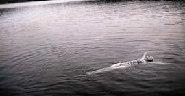 Voyage avec Albert Rochette et M Leclerc