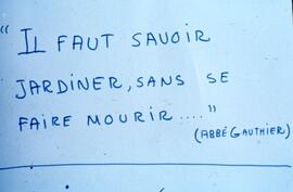 Texte