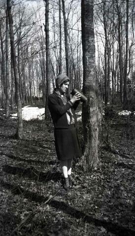 Original Document numérique not accessible