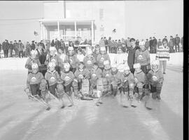École Sainte-Marie - Festival