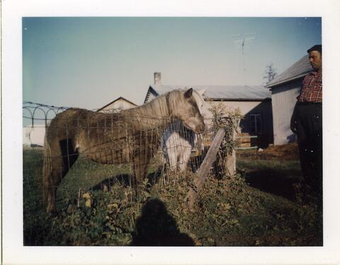 Original Digital object not accessible