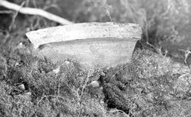 Travailleurs site 2