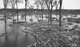 Inondation au pont de fer