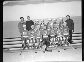 Hockey mineur - Mosquitos