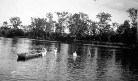 Lac Sept-Iles - activité baignade