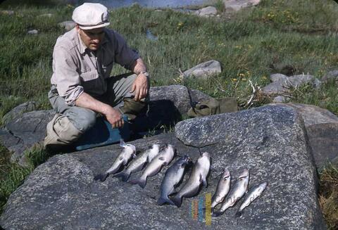 Original Document numérique not accessible