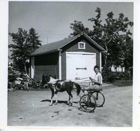 Original Document numérique not accessible