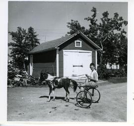 Claudine Vohl sur une charrette chez ses parents