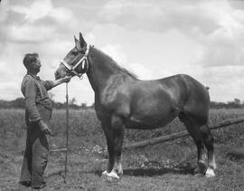 Déry, Georges-Édouard