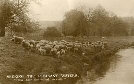 Paterson à sa soeur Joséphine Bilodeau – Recto