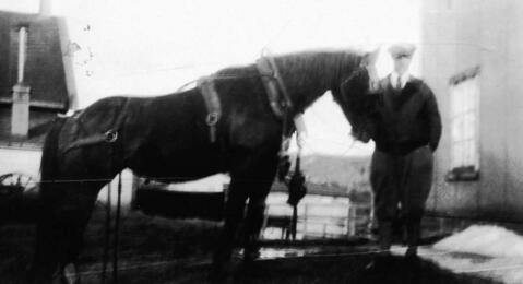 Original Document numérique not accessible