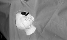 Plusieurs objets