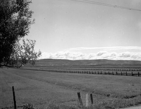 Original Document numérique not accessible