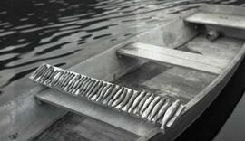 Visite de Maurice Prairie avec des amis de Plattsburg - Pêche