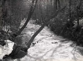 Chez Lionel Lapointe et Émile Denis