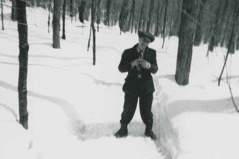 Original Document numérique not accessible