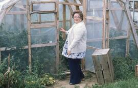 Serre de légumes
