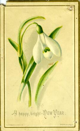 Carte de souhaits, couleur, lys blanc, A happy new year, «Avec les souhaits de …».