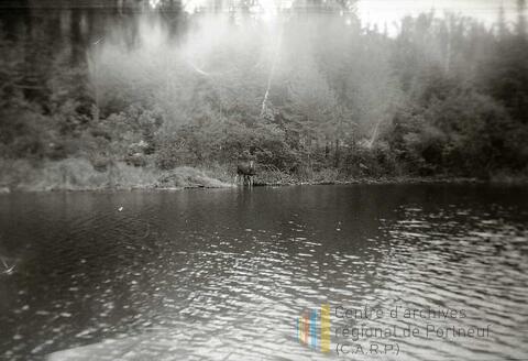 Original Document numérique not accessible