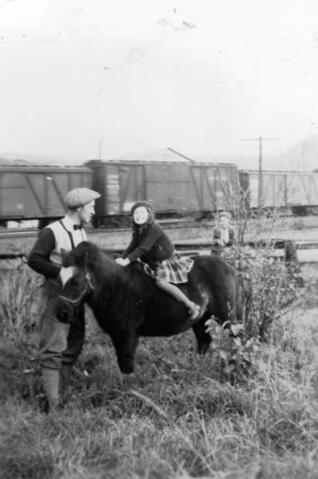 Original Document numérique not accessible