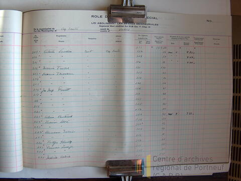 Original Document numérique not accessible