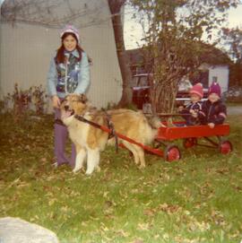 Murielle Naud avec ses cousins Joël et Jasmin Vohl dans le chariot tiré par un chien