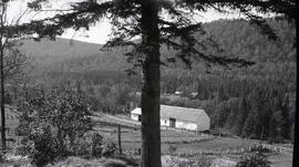 Au club Tourilli avec Alex Germain Joseph Cantin Édouard Piché et Louis Germain