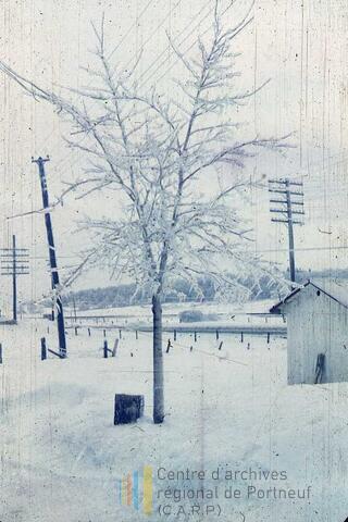 Original Document numérique not accessible