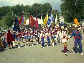 Fête au Village