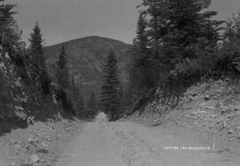 Lac des pins