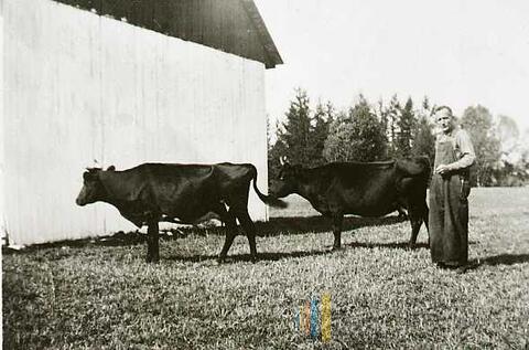 Original Document numérique not accessible