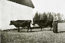 Vachon Arthur avec deux vaches