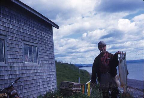 Original Document numérique not accessible