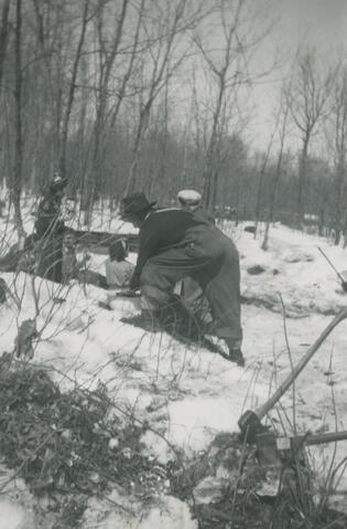 Original Document numérique not accessible