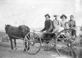 Carrosse à cheval