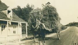 103 rue Chavigny - cheval trainant voiture de foin