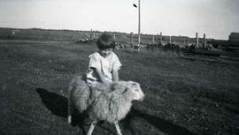 Une fillette avec un mouton