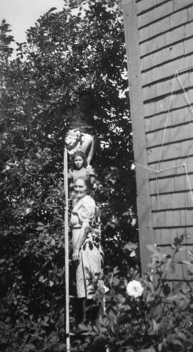 Deux femmes et une fillette dans une échelle