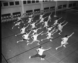 Cours d'éducation physique
