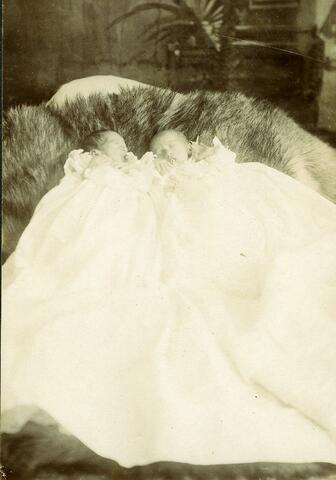 Original Document numérique not accessible