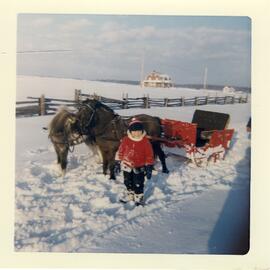 Yvon Ouellette avec des poneys et une carriole