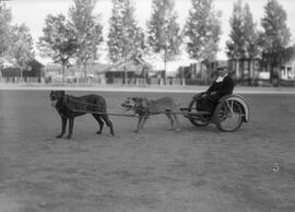 Frère Maure-Edmond et ses chiens