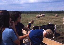 Divers – muséobus - visite moutons - 2 enfants blonds (possiblement famille Drolet)