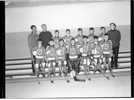 Hockey mineur - Mosquitos