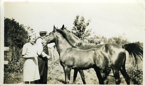 Original Document numérique not accessible