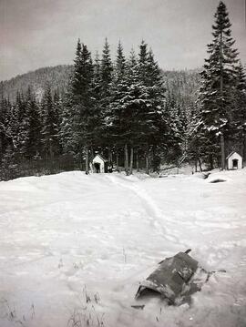Deux niches à chiens en bordure d'une forêt