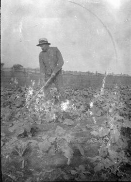 Homme travaillant dans les champs