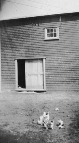 Original Document numérique not accessible