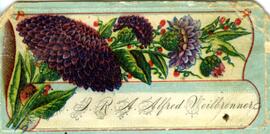 Carte de visite