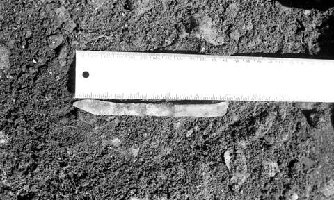 Original Document numérique not accessible